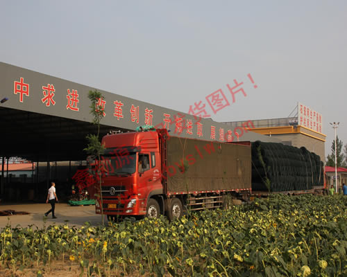 發(fā)往云南大理的高鋅石籠網(wǎng)